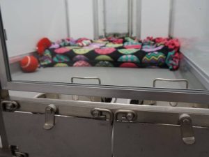 Humane Society of Sheboygan County Animal Shelter
